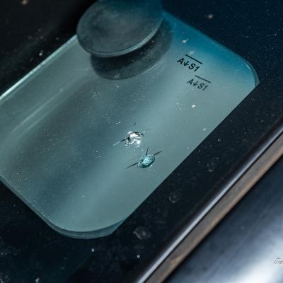 Chip Repair 0121